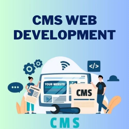 Custom CMS Development Services | CMS Web Application Development in Illinois